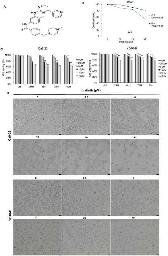 J Cancer Image