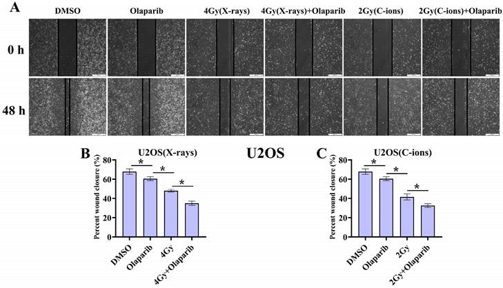 J Cancer Image