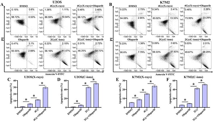 J Cancer Image