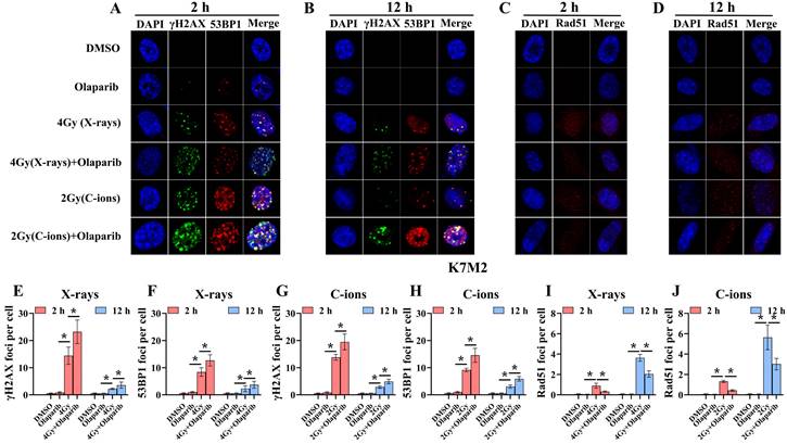 J Cancer Image