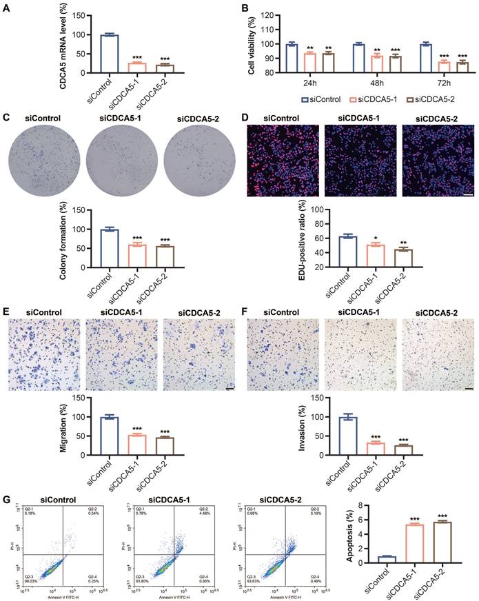 J Cancer Image