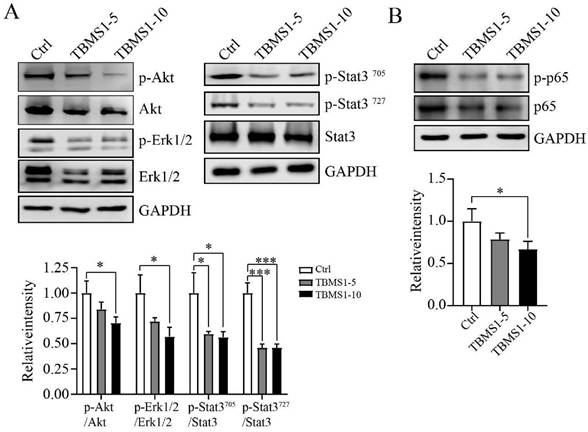 J Cancer Image