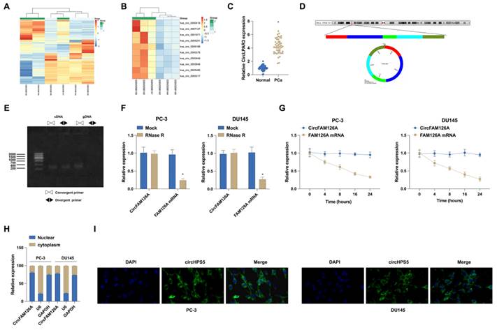 J Cancer Image