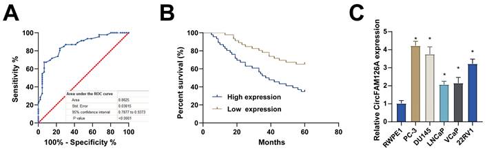 J Cancer Image