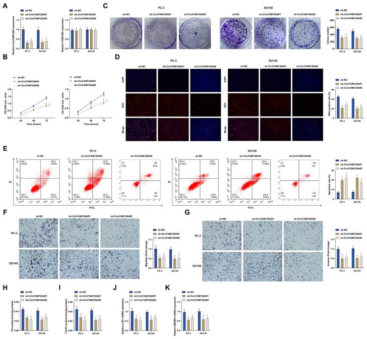 J Cancer Image