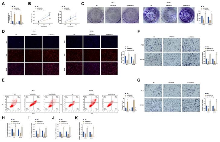 J Cancer Image