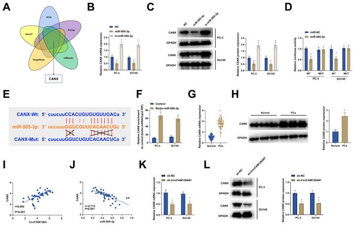 J Cancer Image