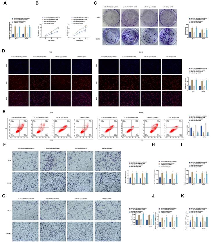 J Cancer Image