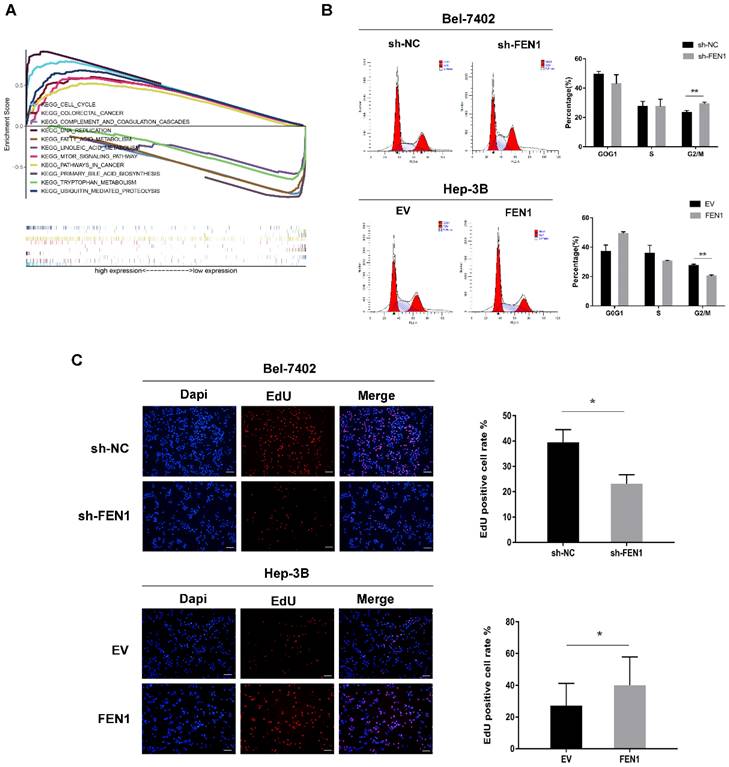 J Cancer Image