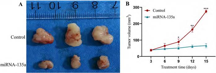 J Cancer Image