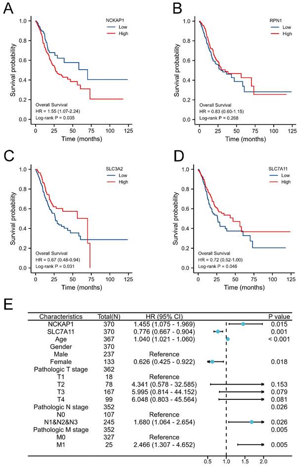 J Cancer Image