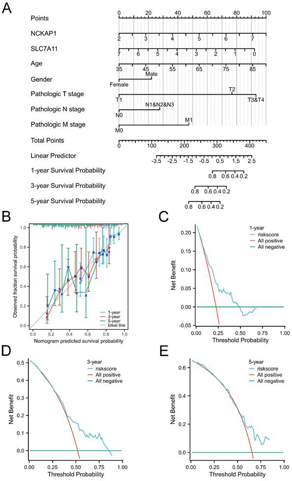 J Cancer Image