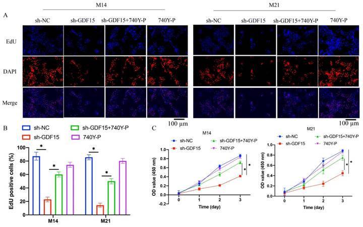 J Cancer Image