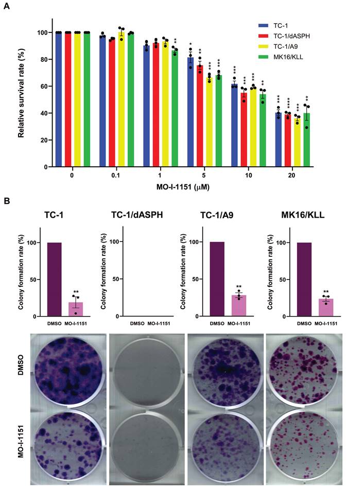 J Cancer Image