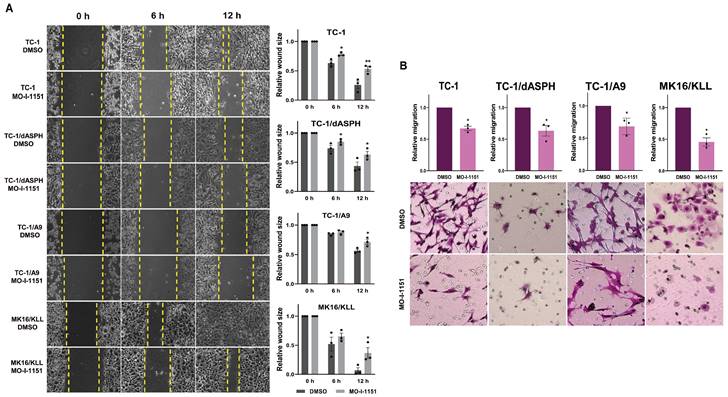 J Cancer Image