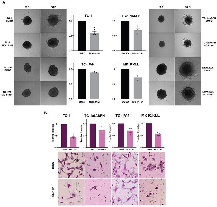 J Cancer Image