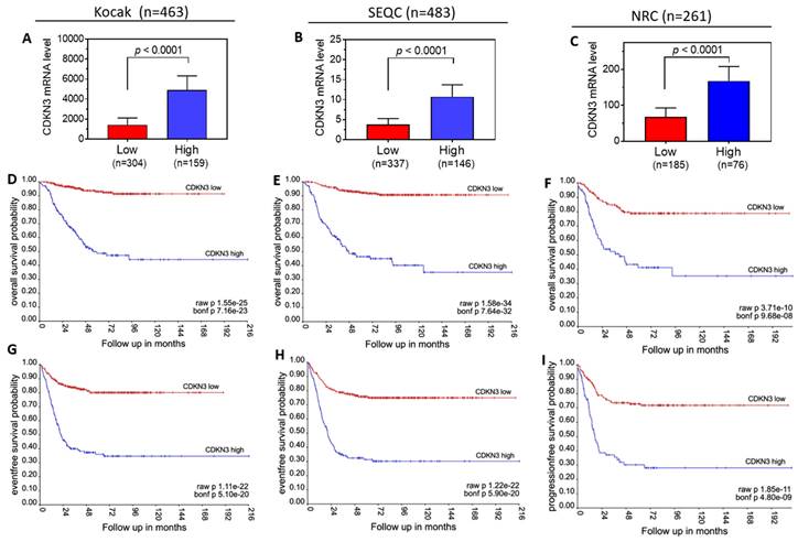 J Cancer Image