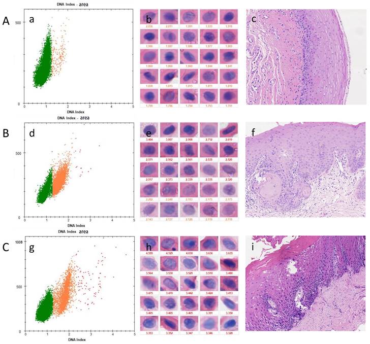 J Cancer Image