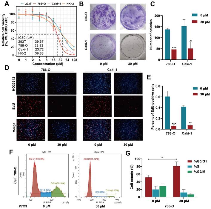 J Cancer Image