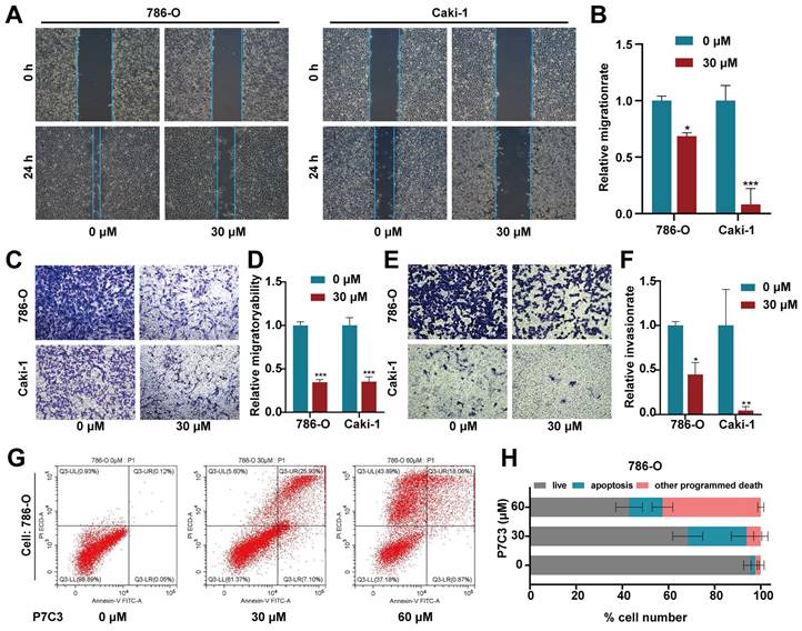 J Cancer Image