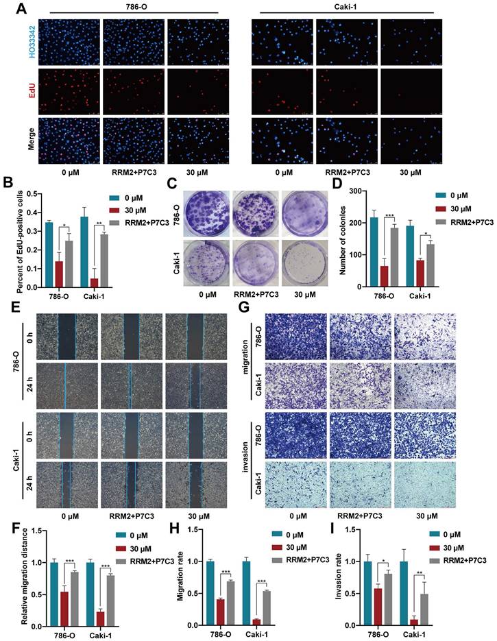 J Cancer Image