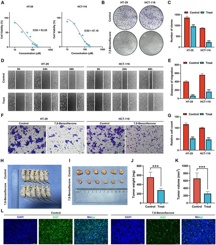 J Cancer Image