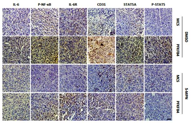 J Cancer Image