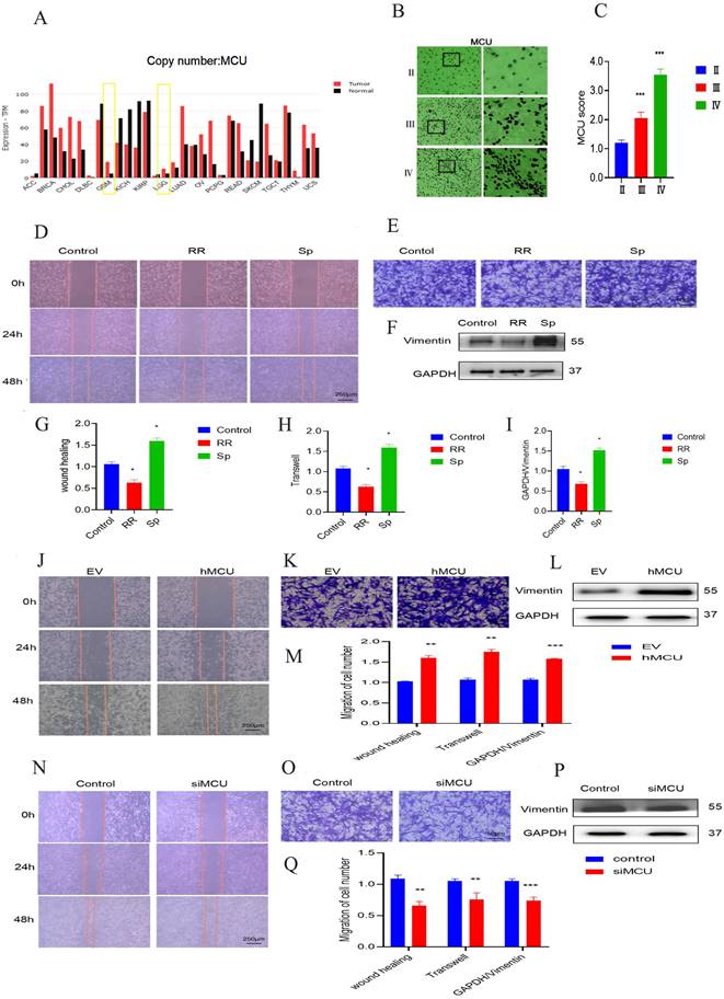 J Cancer Image