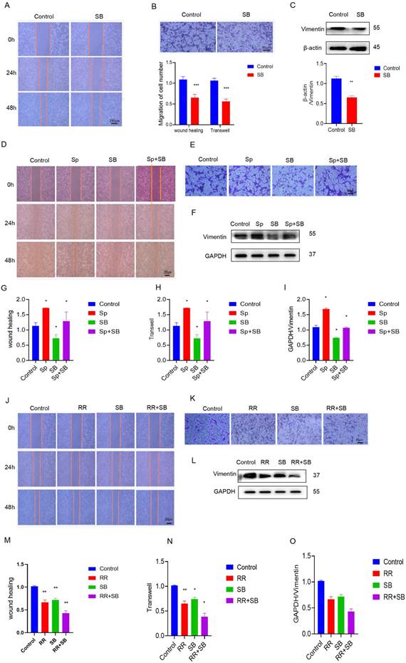 J Cancer Image