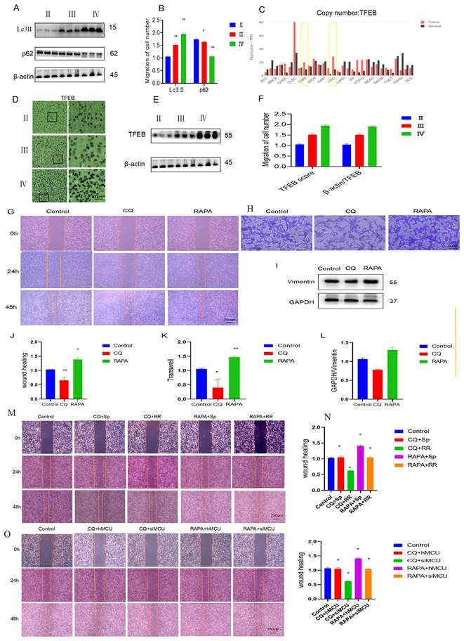 J Cancer Image