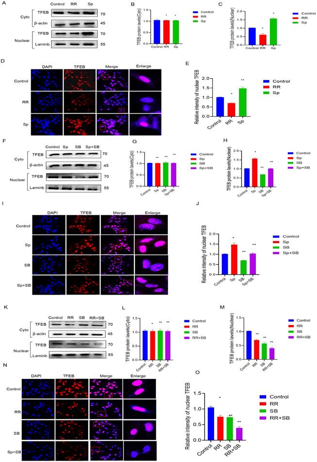 J Cancer Image