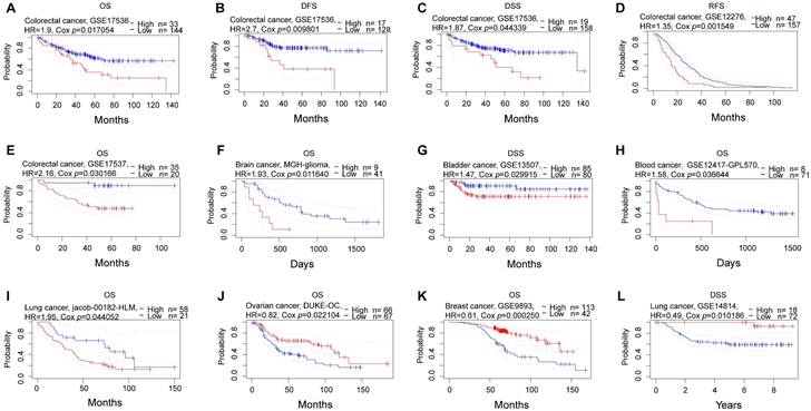 J Cancer Image