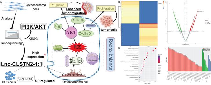 J Cancer Image