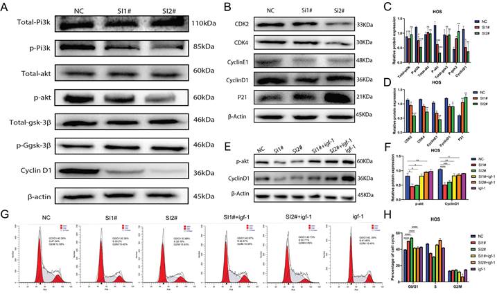 J Cancer Image