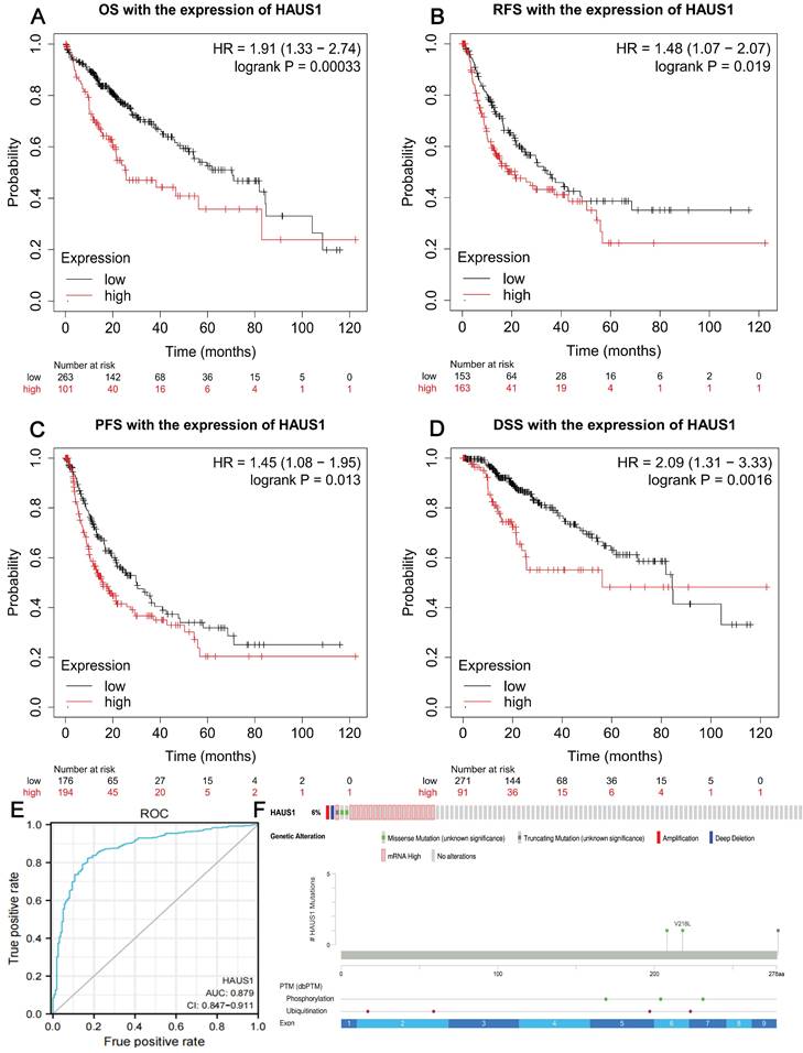 J Cancer Image