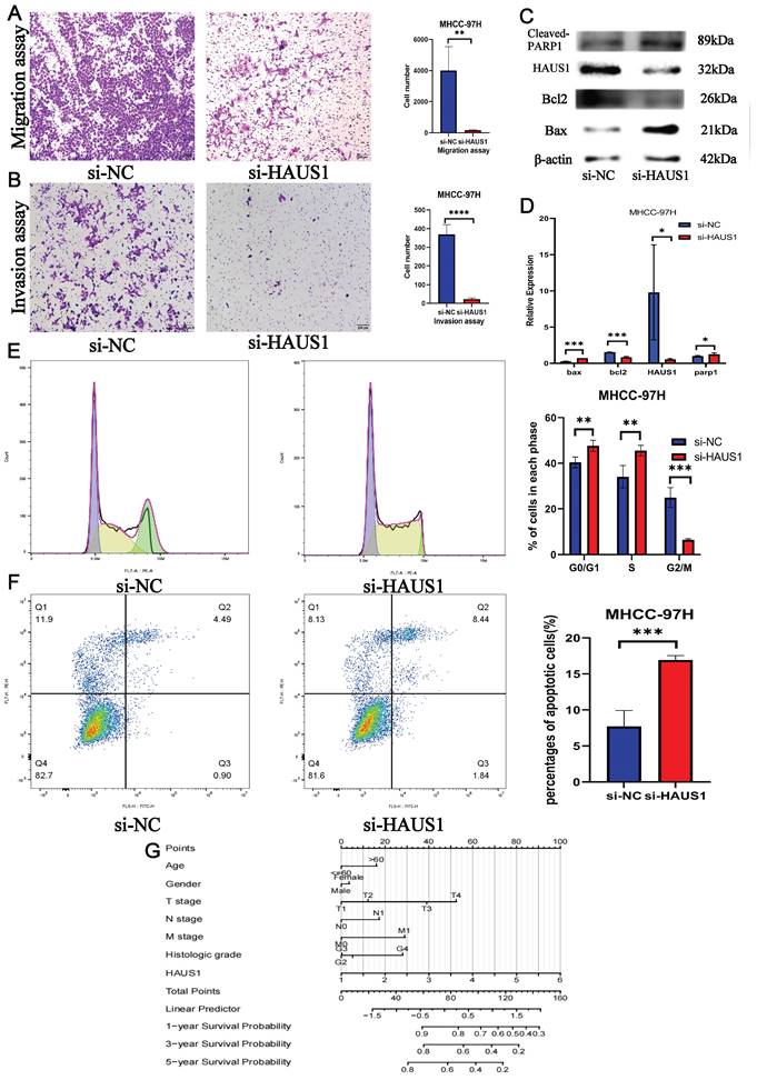 J Cancer Image