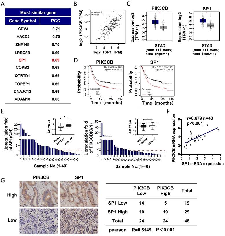 J Cancer Image