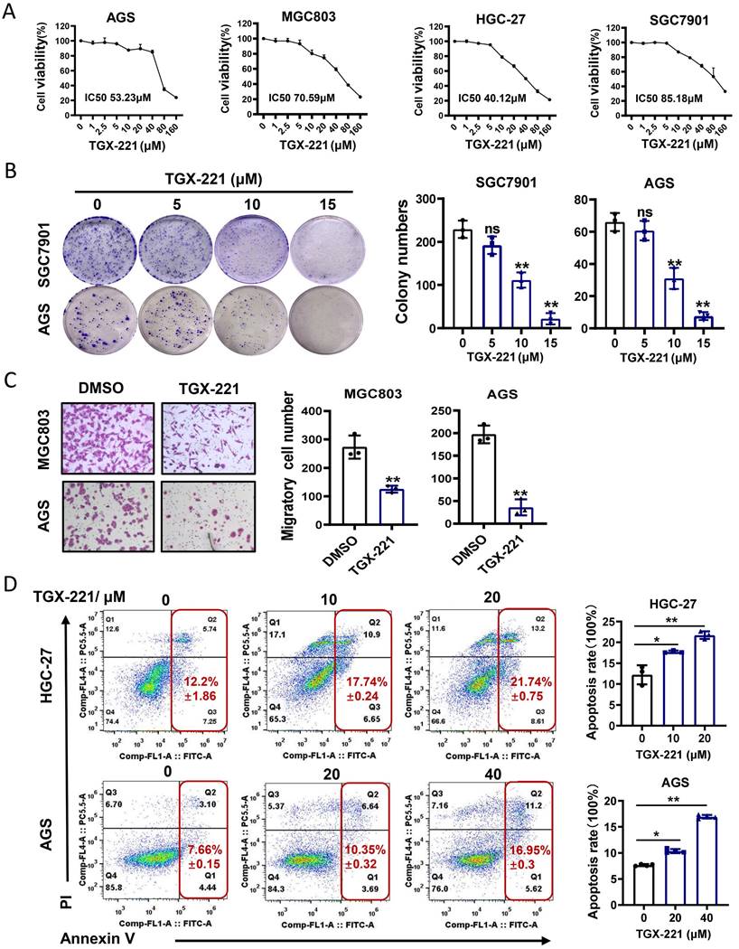 J Cancer Image