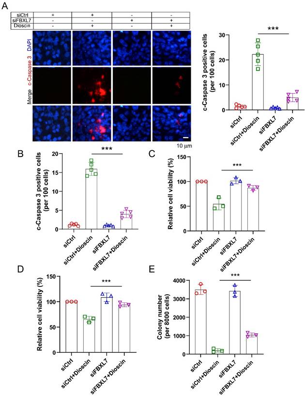 J Cancer Image