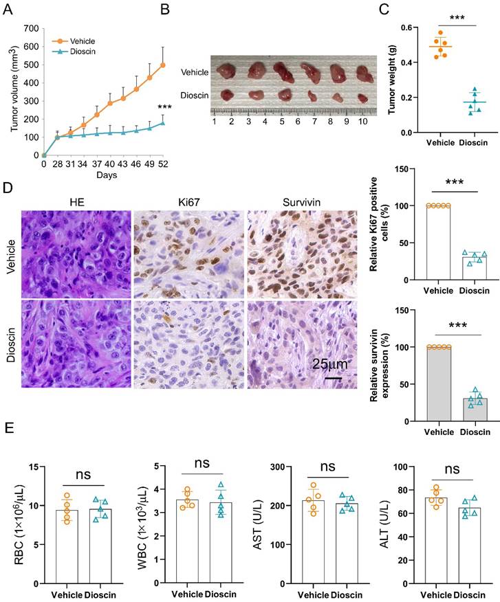 J Cancer Image