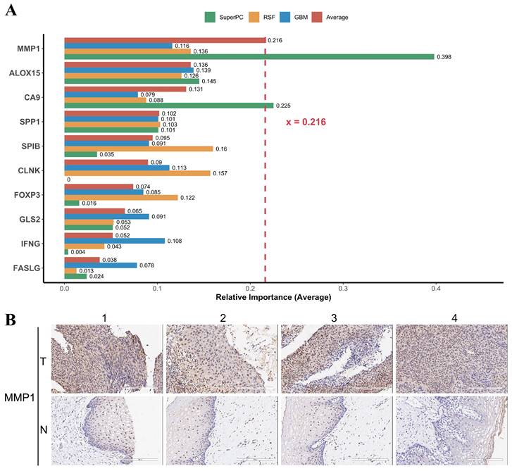 J Cancer Image