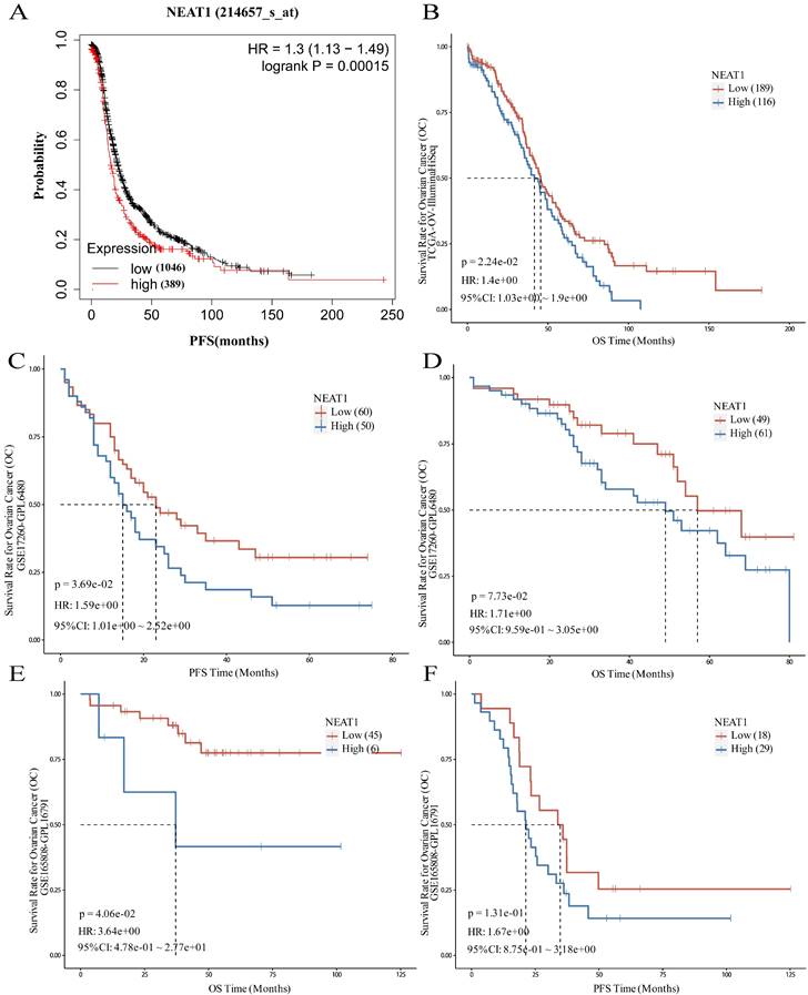 J Cancer Image