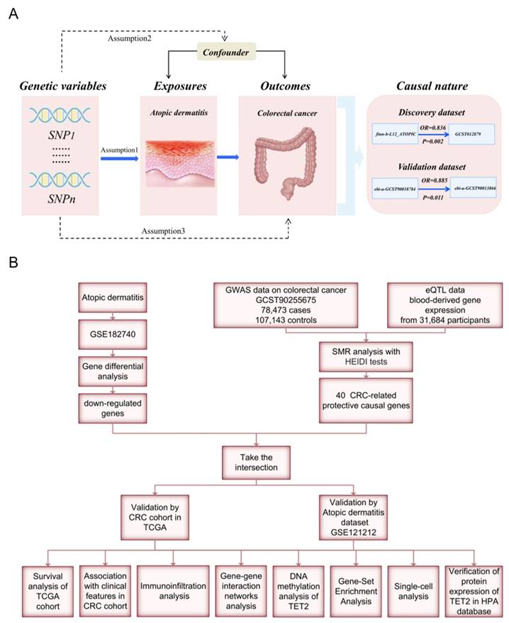 J Cancer Image