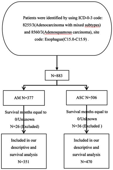 J Cancer Image