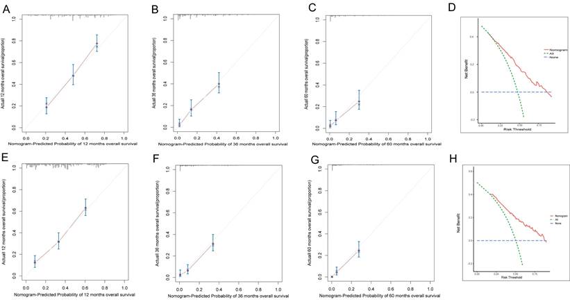 J Cancer Image