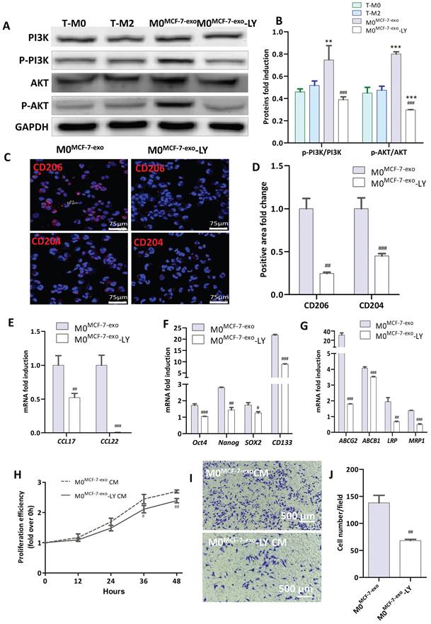 J Cancer Image