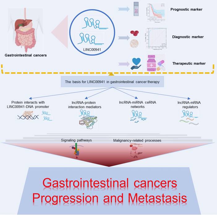 J Cancer Image