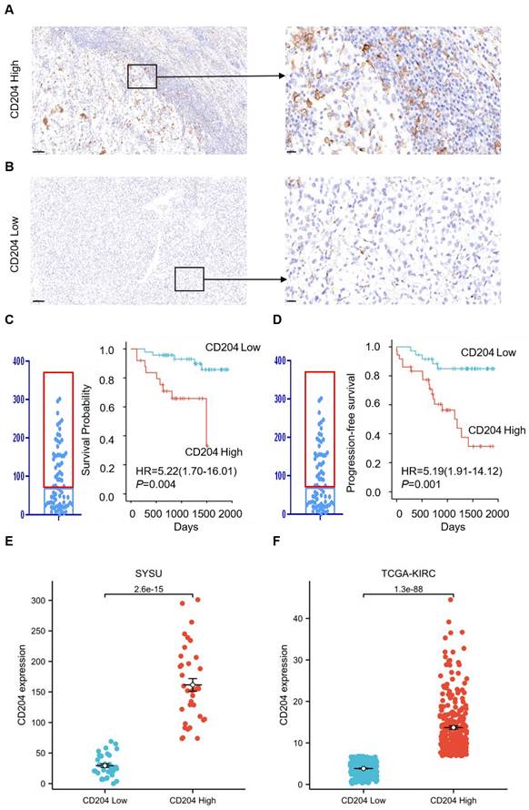 J Cancer Image