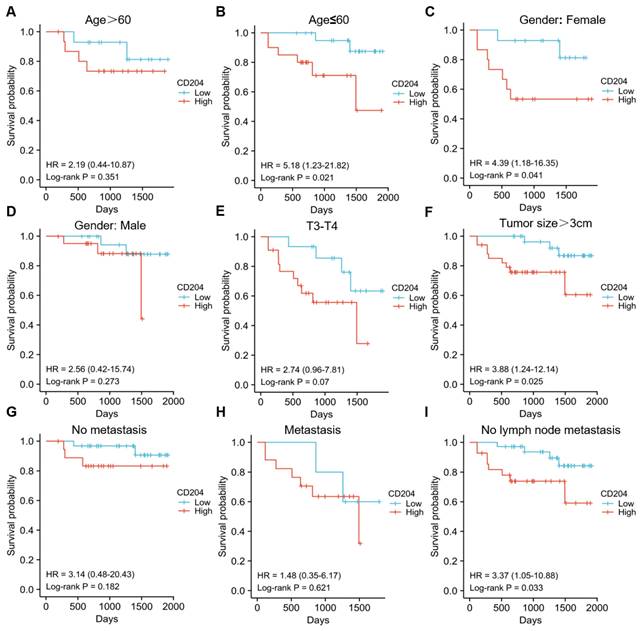 J Cancer Image