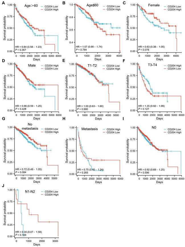 J Cancer Image